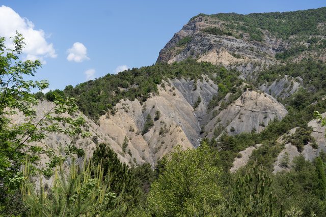 DSC06162.jpg