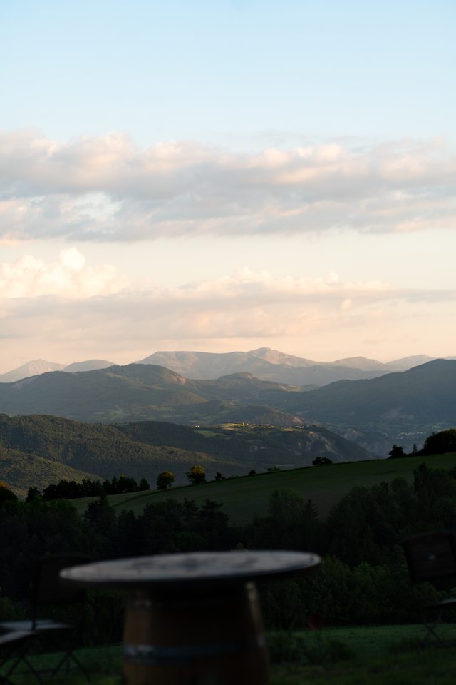 DSC06217.jpg