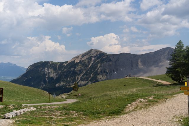 DSC06372.jpg