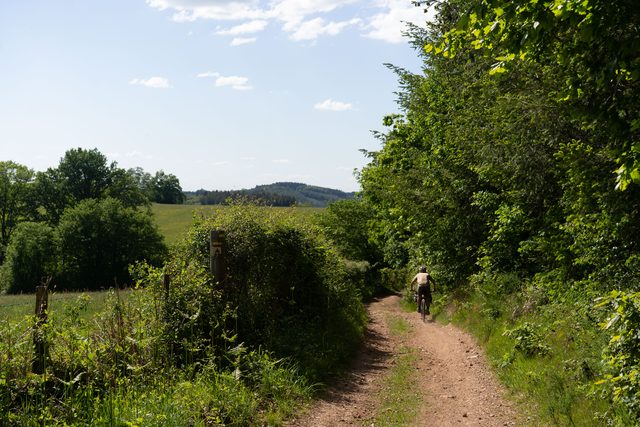 DSC06000.jpg
